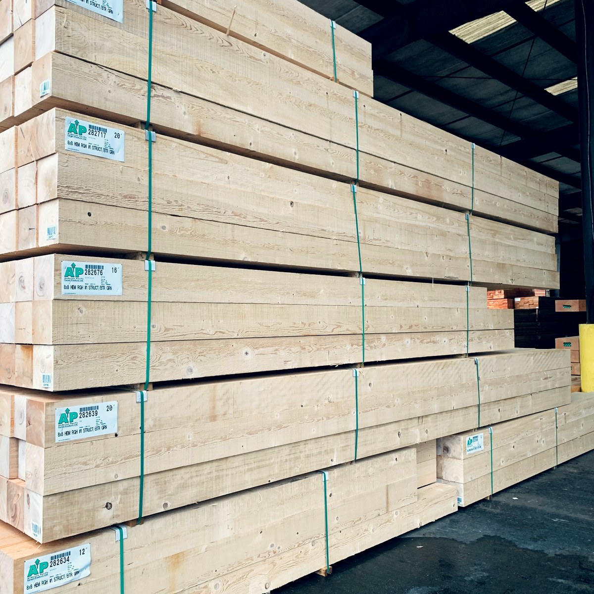 Export Timbers